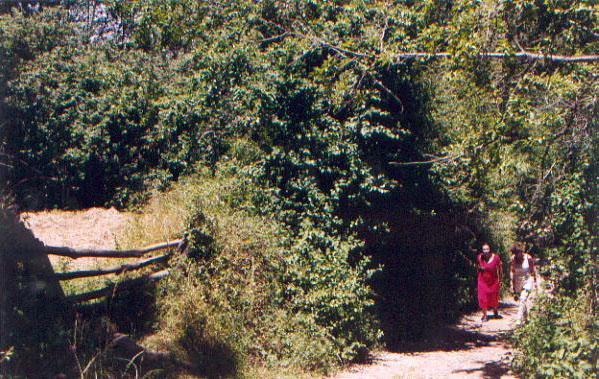 El Risco Del Lomero, Alberca 4 Huesp Max Valdelarco 外观 照片
